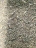 INC International Concepts Black Active Pants Size 10 - photo 7