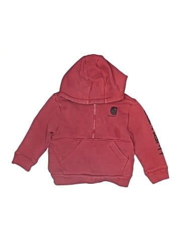 Carhartt Zip Up Hoodie (view 1)