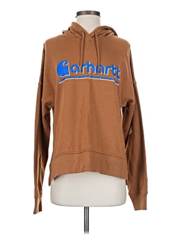 Carhartt Pullover Hoodie (view 1)