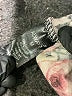 Always Floral Black Casual Pants Size M - photo 5