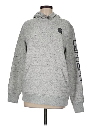 Carhartt Pullover Hoodie (view 1)