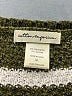 Cotton Emporium Stripes Green Pullover Sweater Size M - photo 7
