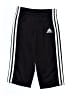 Adidas Black Track Pants 9-12 MO / 12 MO - photo 1