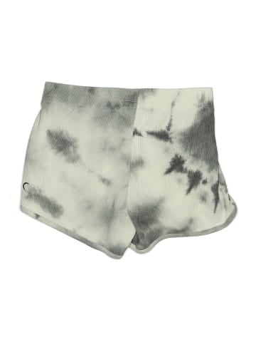 Zyia Active Shorts (view 2)