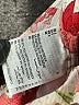 Bar III Paisley Ivory Shorts Size 8 - photo 4