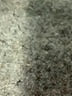 Adrienne 100% Polyester White Casual Dress Size S - photo 7