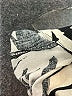 Rachel Zoe Print Black Casual Pants Size 2X - photo 5