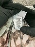 Jaclyn Smith Animal Print Brown Casual Dress Size 2X - photo 8