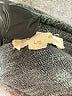 Eileen Fisher Gray Cardigan Size L - photo 8