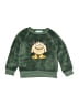 Pekkle 100% Polyester Green Sweatshirt 12-18 MO / 18 MO - photo 1