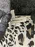 BCBGeneration Animal Print Brown Short Sleeve Blouse Size L - photo 7