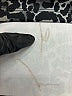 Apt. 9 Animal Print Black Casual Skirt Size XL - photo 3