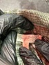 Mystree 100% Polyester Plaid Gray Coat Size S - photo 6