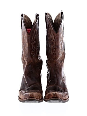 Ariat Boots (view 2)