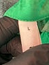 Glam 100% Polyester Green Short Sleeve Blouse Size L - photo 8