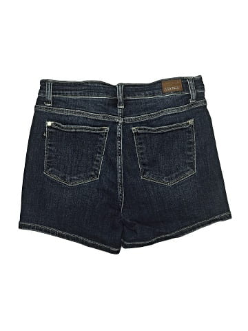 Judy Blue Denim Shorts (view 2)