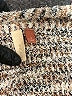 Pilcro Silver Cardigan Size S - photo 8
