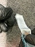 Lularoe Solid Blue Jeans Size 26 waist - photo 8
