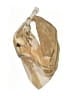 Assorted Brands 100% Silk Tan scarf One size - photo 1