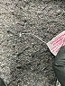 Gretchen Scott Designs Graphic Silver Cocktail Dress Size XL - photo 8
