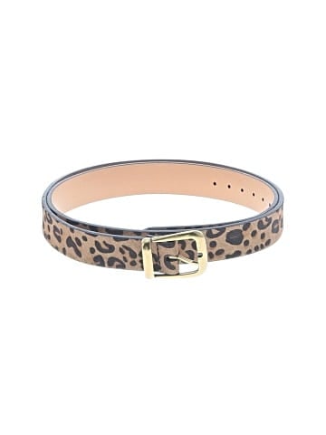 Fossil Belt (view 1)