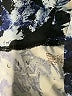 LIVI Print Blue Active Pants Size Lg Plus - photo 7