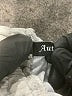 Automet Gray Athletic Shorts Size M - photo 3
