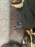 Theory Animal Print Brown Wool Blazer Size 4 - photo 7