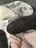 Aerie Animal Print Silver Casual Pants Size M - photo 8