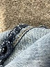 Seraphine Blue Jeans Size 4 - photo 7