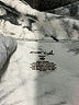 Exertek Silver Pullover Hoodie Size 2X - photo 7