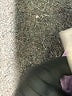 Blue Blush Tie-dye Purple Jumpsuit Size L - photo 5