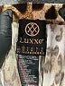 Luxxel 100% Polyester Animal Print Brown Casual Pants Size XS - photo 7