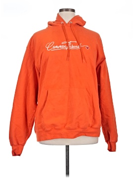 Champion Pullover Hoodie (view 1)