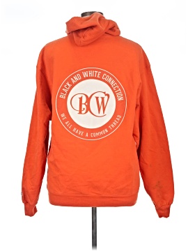 Champion Pullover Hoodie (view 2)