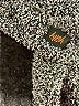 Yitty Tweed Gray Pullover Sweater Size M (estimated) - photo 8
