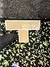 MICHAEL Michael Kors Green Long Sleeve Blouse Size L - photo 7