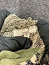 Easel Animal Print Green Pullover Hoodie Size M - photo 7
