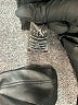 Generation Love 100% Polyurethane Black Casual Pants Size M - photo 8