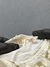 J.Crew 100% Cotton Ivory Dress Size 6-12 mo - photo 3