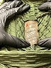 LA Society Green Active Pants Size M - photo 7