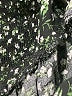 Old Navy Hearts Black Jumpsuit Size M - photo 5