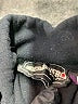 Desigual Black Long Sleeve Turtleneck Size M (estimated) - photo 7