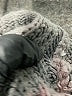 Shein Gray Pullover Sweater Size M - photo 8