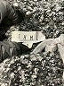 THML Gray Pullover Sweater Size S - photo 7