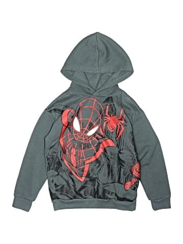 Spiderman Pullover Hoodie (view 1)