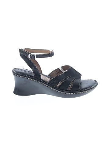 Born Wedges (view 1)