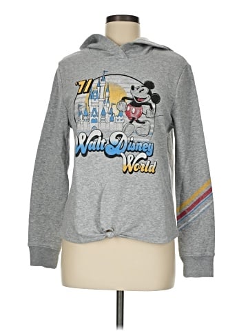 Disney Parks Sweatshirt (view 1)