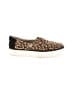 TOMS Brown Sneakers Size 10 (wide) - photo 1
