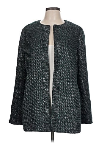 Ann Taylor Coat (view 1)